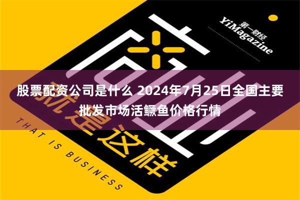 股票配资公司是什么 2024年7月25日全国主要批发市场活鳜鱼价格行情