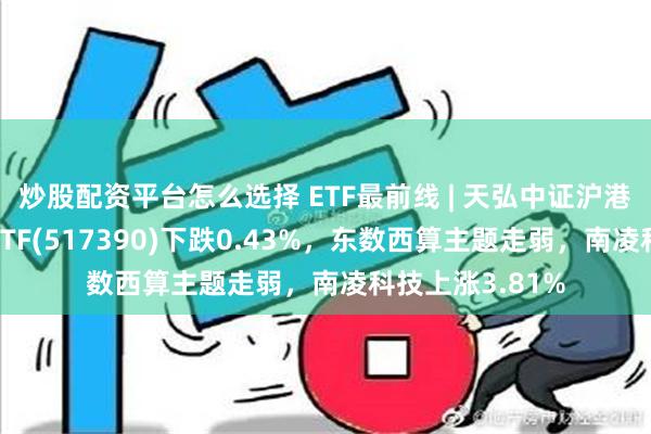 炒股配资平台怎么选择 ETF最前线 | 天弘中证沪港深云计算产业ETF(517390)下跌0.43%，东数西算主题走弱，南凌科技上涨3.81%