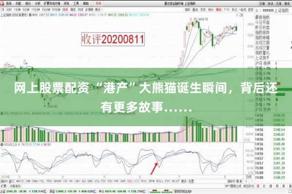 网上股票配资 “港产”大熊猫诞生瞬间，背后还有更多故事……