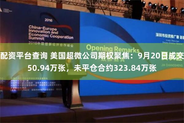 配资平台查询 美国超微公司期权聚焦：9月20日成交50.94万张，未平仓合约323.84万张