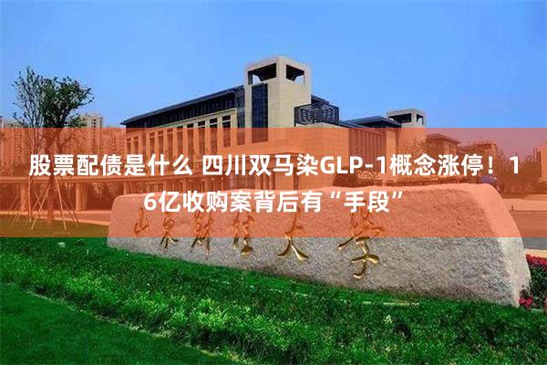 股票配债是什么 四川双马染GLP-1概念涨停！16亿收购案背后有“手段”